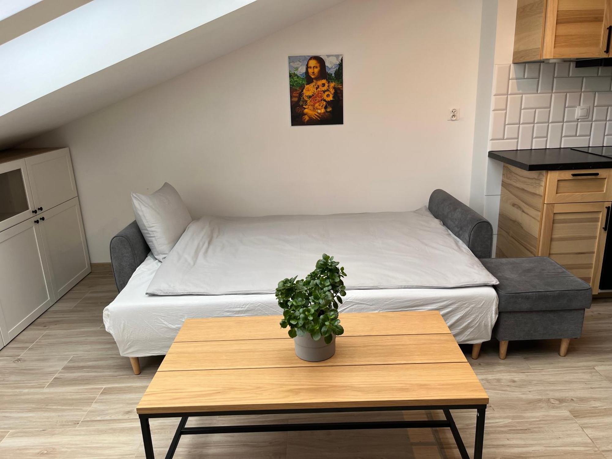 Feelhome Apartment With Kitchen Krasków Exterior foto